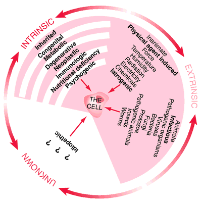 etiology definition