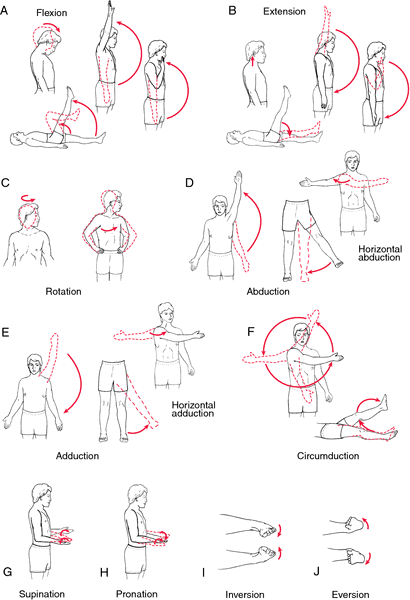 Activities To Increase Elbow Flexion Range