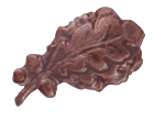Bronze oak leaf cluster