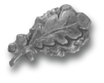 Silver oak leaf cluster