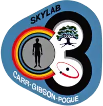 Skylab3-Patch.png