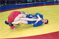 Sambo Foto 1-crop.jpg