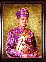 Almarhum Sultan Hisamuddin Alam Shah.jpg