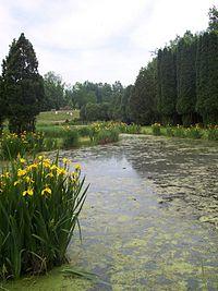 Arboretum-20060604-iris-garden.jpg