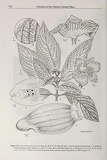 Contributions from the United States National Herbarium (2006) (20662441756).jpg