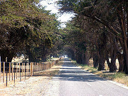 Federation Trail.jpg