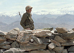 RIAN archive 21225 On watch.jpg