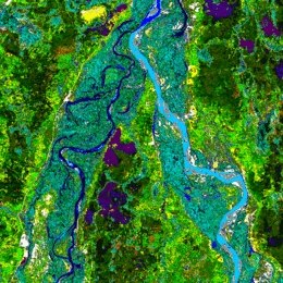 Bananal-Island-North-End-Landsat-25-07-1992.png
