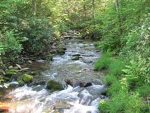 White Deer Hole Creek near 4th Gap.JPG