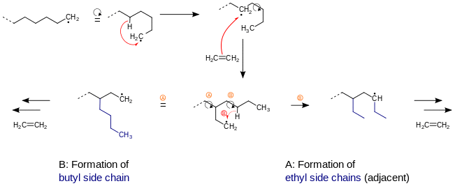 Mechanism for the emergence of side chains during synthesis of polyethylene (PE-LD).