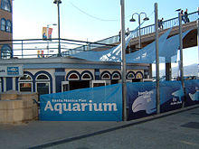 SantaMonicaPierAquarium.jpg