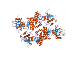 PDB 2r3v EBI.png
