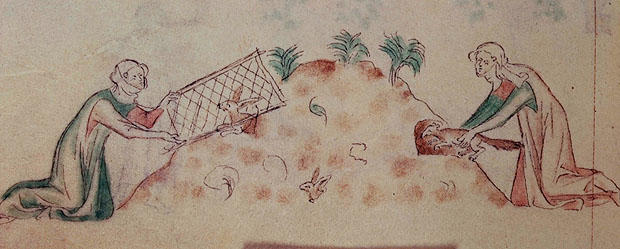 Depction of rabbit hunting in Queen Mary Psalter (1340)