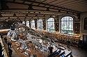 Galerie d'Anatomie comparée - Muséum national d'histoire naturelle.jpg