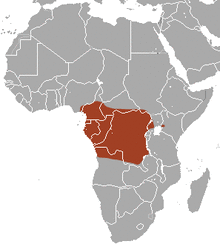 Giant Otter Shrew area.png