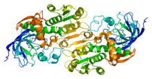 Protein ADH5 PDB 1m6h.png