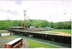 BeehiveField.JPG