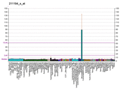 PBB GE TP73L 211194 s at fs.png