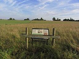 Amesbury - The Nile Clumps Plantation & information board (geograph 4281365).jpg