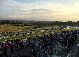 Epsom Downs finish line.jpg