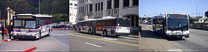 SamTrans collage.jpg