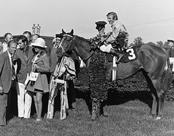 Dustcomderby1970.jpg
