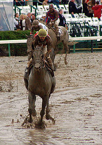 MidnightLuteBreedersCupSprint2007.jpg