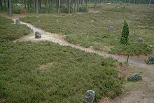 Poland Odry - stone ring.jpg