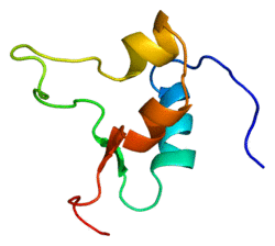 Protein IGF2 PDB 1igl.png