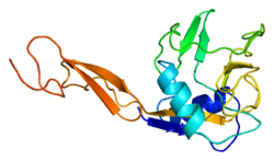 Protein SELE PDB 1esl.png