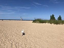 Rogers Park, (Chicago, Illinois)