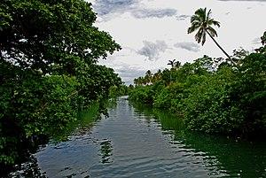Round Efate trip, 26 Nov. 2006 - Neslep River - Flickr - PhillipC.jpg