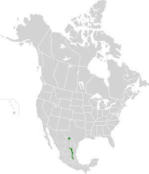 Sierra Madre Oriental Oak-Pine Forests map.svg