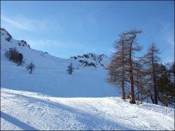 The 'Red' in Italysmall.jpg