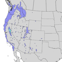 Sambucus nigra cerulea range map 3.png