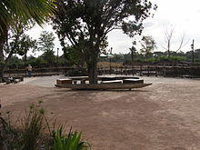 Werribee Open Range Zoo Hippo Exhibit 01.JPG