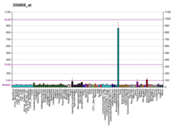 PBB GE NGFR 205858 at fs.png