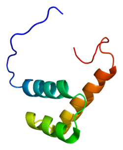 Protein ZEB2 PDB 2da7.png