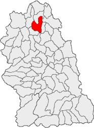Location in Hunedoara County