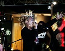 The Casualties in 2006.