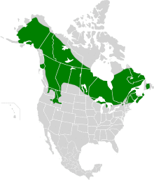 Falcipennis canadensis map2.svg