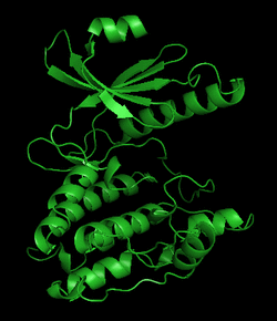 PhK 1QL6 gamma small.png