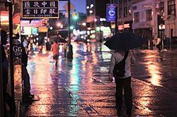 Flushing, After the Rain.jpg