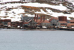 Leith whaling station.JPG