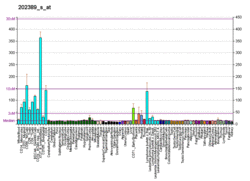 PBB GE HD 202389 s at fs.png