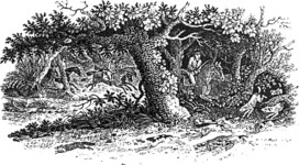 John & Thomas Bewick. Image from The Chase by William Somervile. 1802 09.png