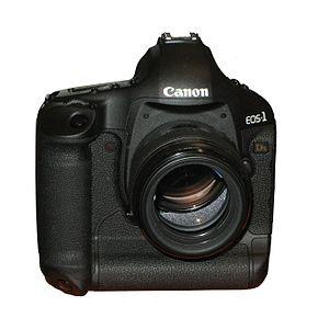 EOS 1Ds Mark III img 0828.jpg