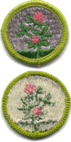 Forage Crops merit badge, type G.png