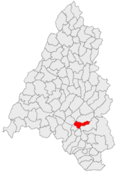 Location in Bihor County