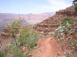 Hermit-trail.jpg